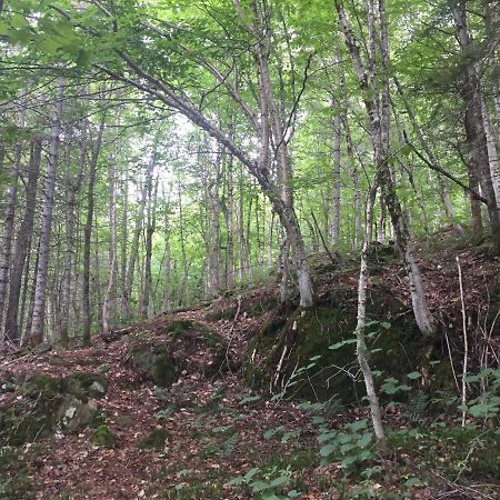 Chalet Nature Laurentides Val-des-Lacs Esterno foto