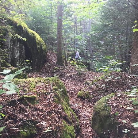 Chalet Nature Laurentides Val-des-Lacs Esterno foto