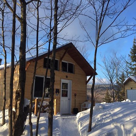 Chalet Nature Laurentides Val-des-Lacs Esterno foto