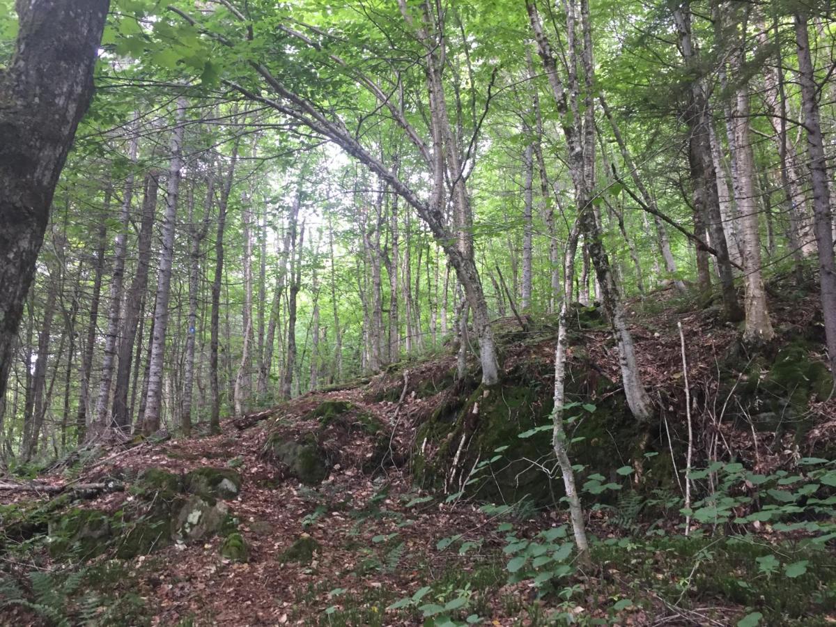 Chalet Nature Laurentides Val-des-Lacs Esterno foto