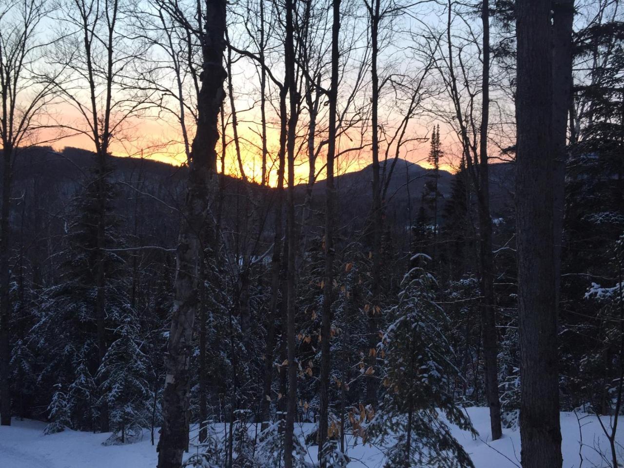 Chalet Nature Laurentides Val-des-Lacs Esterno foto